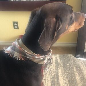 Stylish Plaid Dog Bandana